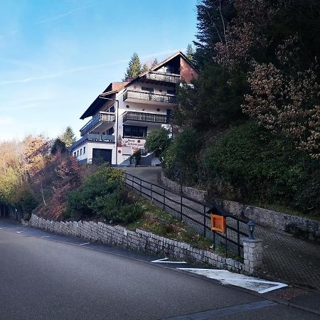 Haus Schwarzwaldblick Villa Hornberg Exterior photo